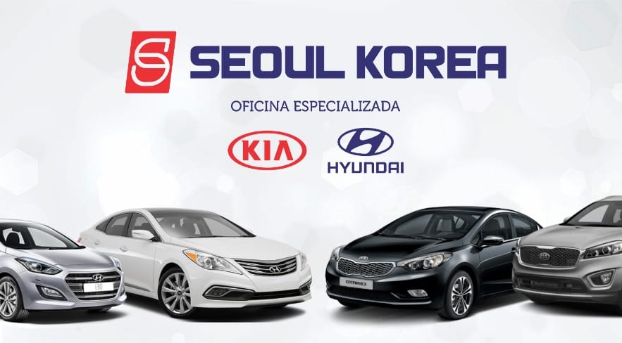 Seoul Korea Especializada 