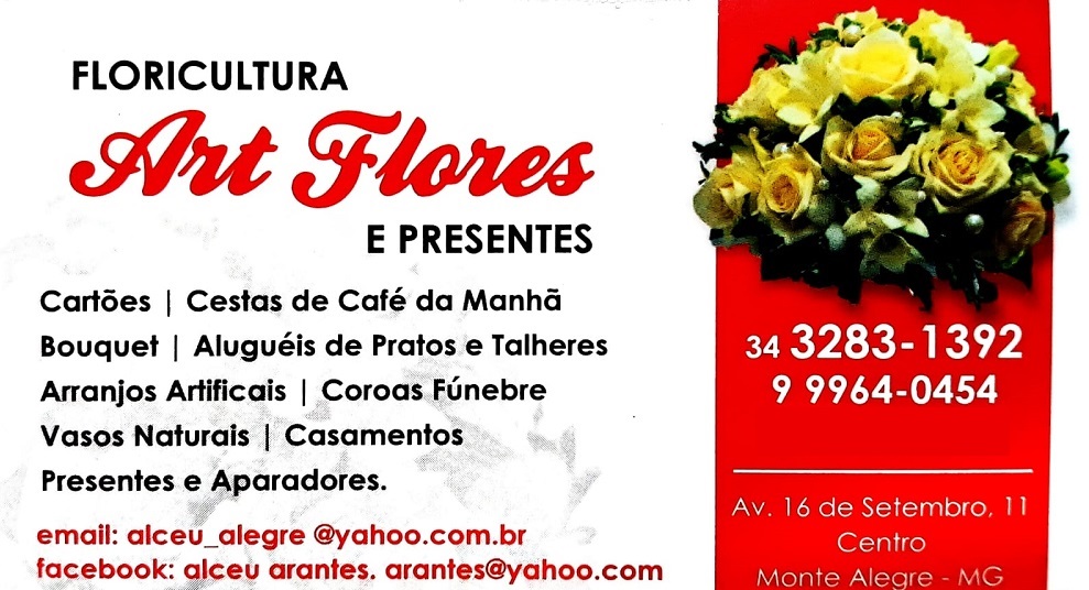 Art Flores e Presentes