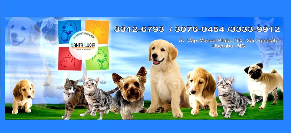 Santa Lucia Clinica Veterinária