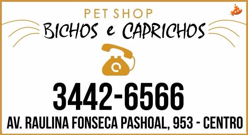 BICHOS E CAPRICHOS